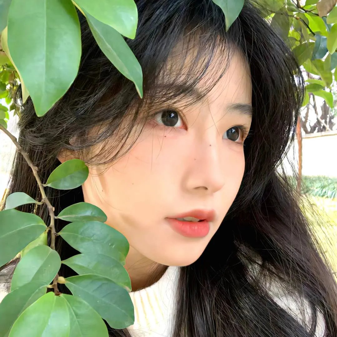 昆仑劫之鲛人泪